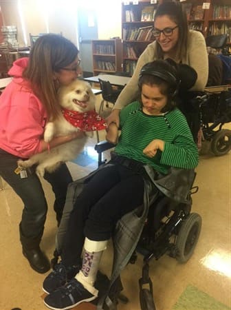 pomeranian-visiting-girl-in-wheelchair 